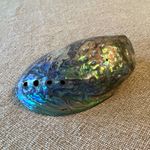 Genuine Paua Abalone Shell Mother of Pearl, Natural Shape, Polished Finish