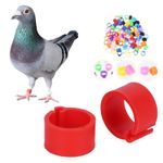 100 x COLOURED 8MM PLASTIC RACIN PIGEON LEG CLIP CLICK RINGS BANDS STOCK LOFT