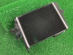 R1300GS Radiator Left 1171 1542091-06 BMW Genuine Motorcycle Part KA1 Radiat...