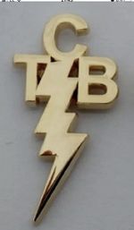 Elvis Presley  'Taking Care of Business' gold / gilt TCB pin badge. Gracelands.