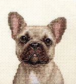 FAWN FRENCH BULLDOG dog, pup Full cross stitch kit + all materials *Fido Studio