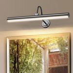 42cm Rechargeable Picture Light , Battery Operated Wall Light Remote with Timer.