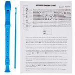School Descant/Soprano Recorder, Case & Chart 17 Colours EXTRA DISCOUNT FOR 2+