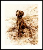 GERMAN SHORTHAIRED POINTER GSP DOG FINE ART PRINT by Roger Inman