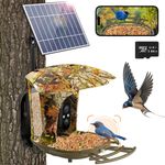 Solar Smart Bird Feeder Camera 1080P HD 7W Night Vision WiFi App Maple Leaf