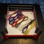 Replacement Ropes for WWE Mattel Basic Superstar/Retro Wrestling Ring