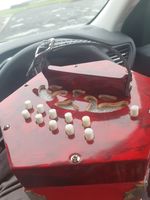 20 Plus 1 Button Concertina  With  Case. Good Condition.