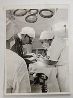 Corgi Dog Eye Surgery Cornea Transplant Veterinary Surgeon RSPCA Putney Photo