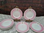 9 x Grainger & Co Worcester Chemical porcelain pink plates 23.50 Cms *Display*