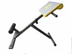 Hyperextension Bench Back Training Heavy Duty Weight Gym Equipment