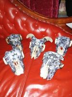 Gothic painted sheep sculls 