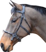 IV Horse Leather Lunge caveson. Tarnished. Clearance price!!!!