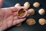 Walnut Shell for DIY and Art Projects, Craft and Decoration 30-50mm