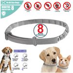 Advanced Adjustable Pet Dogs Cats Anti Flea And Tick Collar 8 Months Protection