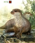Common Otter River Wildlife Toy Model Figure by CollectA 88941 for displays