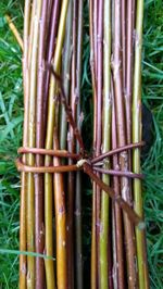 X50 Willow Rods For Weaving And Crafting. 80cm Length