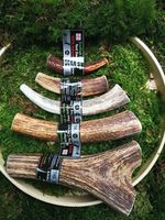 Scottish Red Deer Antler Dog Chew - Long Lasting - Full of Minerals 100% Natural