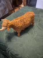 Aberdeen Angus Highland Cow