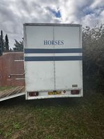 Horse Box VW LT