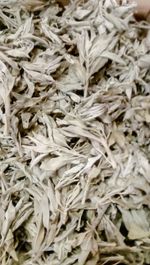 WHITE SAGE CLUSTERS Native American White Smudge Sage Incense Smudge 10 - 500g