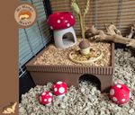 4 Chamber Hamster Hide with Removable lid, Hamster Hide, Small Animal Accessorie