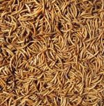 PRICE SLASH!!  -   5kg Quality Dried Mealworms Importers offer price!!