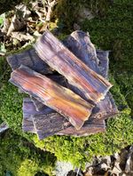 Beef Gullet Chew For Dogs - 100% Natural, One Ingredient - Beef - Fast Delivery