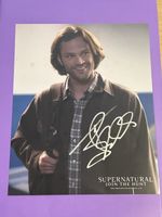 Genuine Jared Padalecki  8x10 Photo Autograph  Supernatural Has Crease Damage
