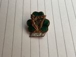 Rare vintage EIRE , HARP , MAID OF ERIN , GREAT BADGE SEE PICS VERY RARE 