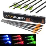 Hunting Bolts 20" Carbon Arrows LED Lighted Nocks Archery Bow Shooting Target