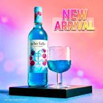 Echo Falls Blue Raspberry Fruit Fusion 70cl
