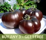VEGETABLE SEEDS TOMATO BLACK - 30 SEEDS - BLACK PRINCE - Tomato seeds - HEIRLOOM