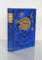 c1890 Pictorial Travels on Land Sea Frederick Warne Victorian Illustrated Book