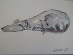 Ink dog drawing of sleeping dog puppy on ivory paper original  sketch