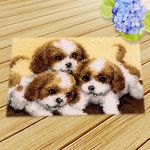 Handmade Latch Hook Kits Cushion Rug Making Kits DIY for Kids Beginners with