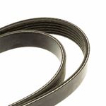 Genuine Ford Transit Mk7 2.2Tdci Alternator Drive V Belt 2006-2014 1723603