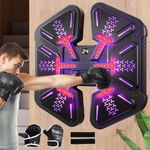 Bluetooth Music Boxing Machine Smart Wall Training Target Kids Boxing Trainer UK