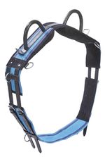 Busse Lunging Belt Double