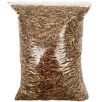 DRIED MEALWORMS 50g 250g 500g 1kg 2.5kg 5kg 10kg 12.5kg : Wild Bird Food Treats
