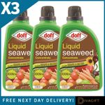 3 x DOFF LIQUID SEAWEED CONCENTRATE 1L ORGANIC PLANT FOOD SHRUBS VEGETABLES FEED