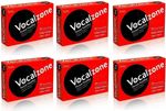 Vocalzone Original Throat Pastilles Multi-Pack 6 x 24