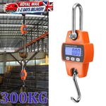 Mini Crane Scale Weight 300kg Heavy Duty Hanging Hook Scales Portable Scale UK