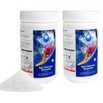 Chlorine Granule 2KG Water Treatment Swimming Pool Spa Hot Tub Cleaning Chemical