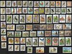 75 ALL DIFFERENT ZAMBIA  STAMPS ALL YEARS