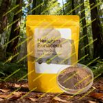 Global Customized Proportion Packaging Lions Mane Mushroom Extract Powder Bulk H