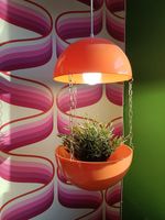 Space Age 60s 70s Retro Plant Hanger Light - Orange By Potifiv