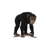 CollectA Chimpanzee Male