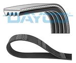 DAYCO 4PK1720 V-Ribbed Belts Replacement Fits Toyota LandCruiser Amazon