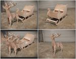 Santa sleigh and reindeer