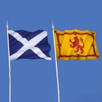 SCOTLAND FLAG BUNTING 3X2FT 5X3FT 8X5FT 244*150CM 150*90CM SALTIRE